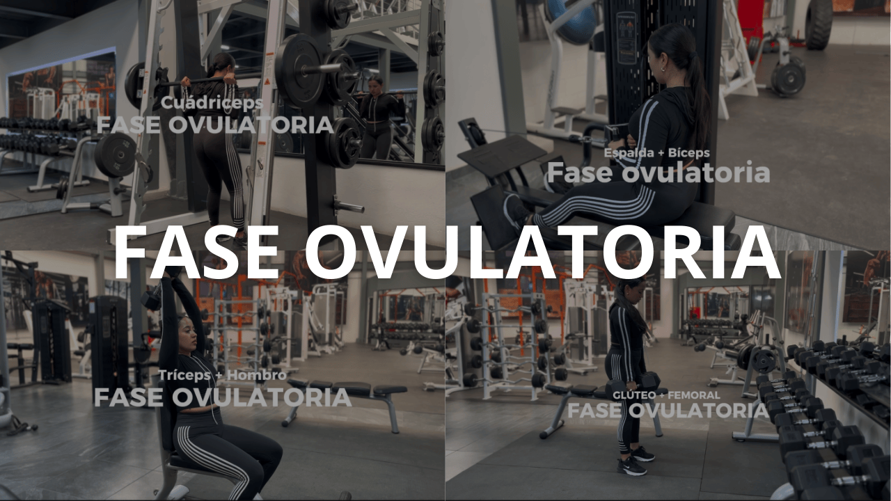 Rutina de Gym (Fase Ovulatoria)