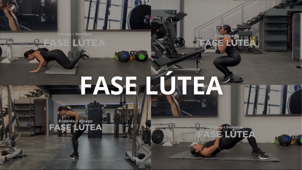 Rutina de Gym (Fase Lútea)