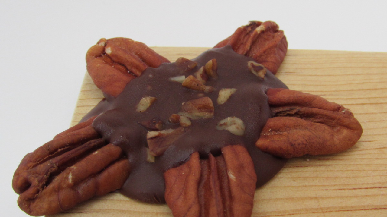 Tortuga de Chocolate